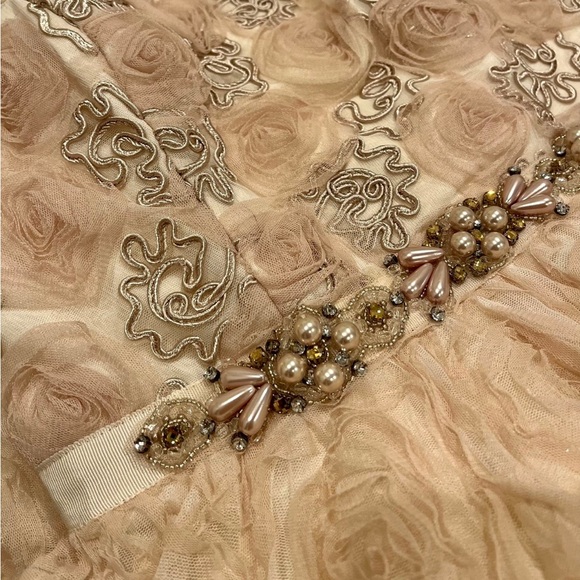 Blush rose gown - Adrianna Papell, size 8 - Picture 4 of 5